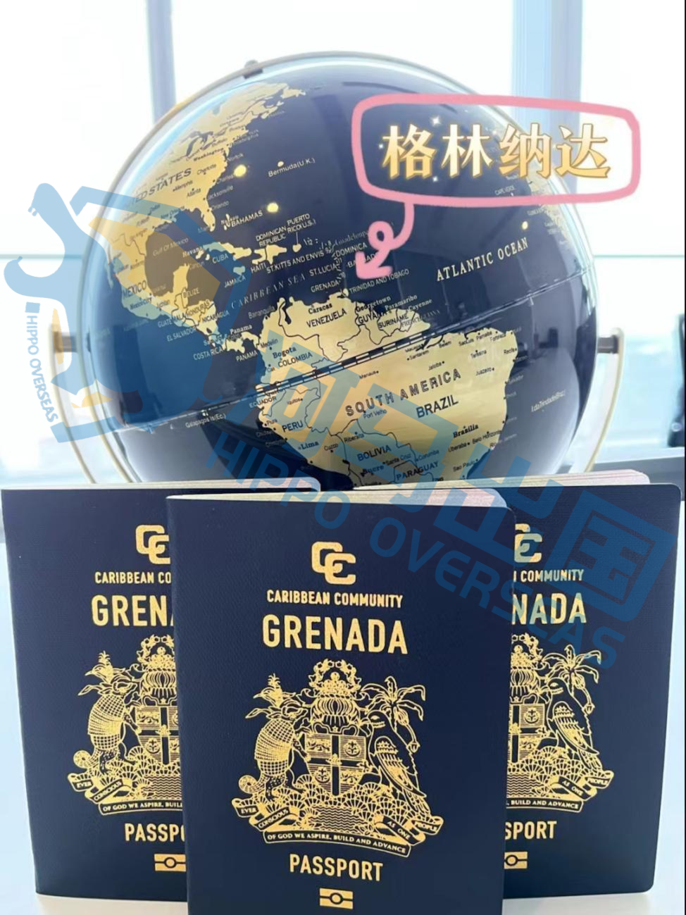 图片31