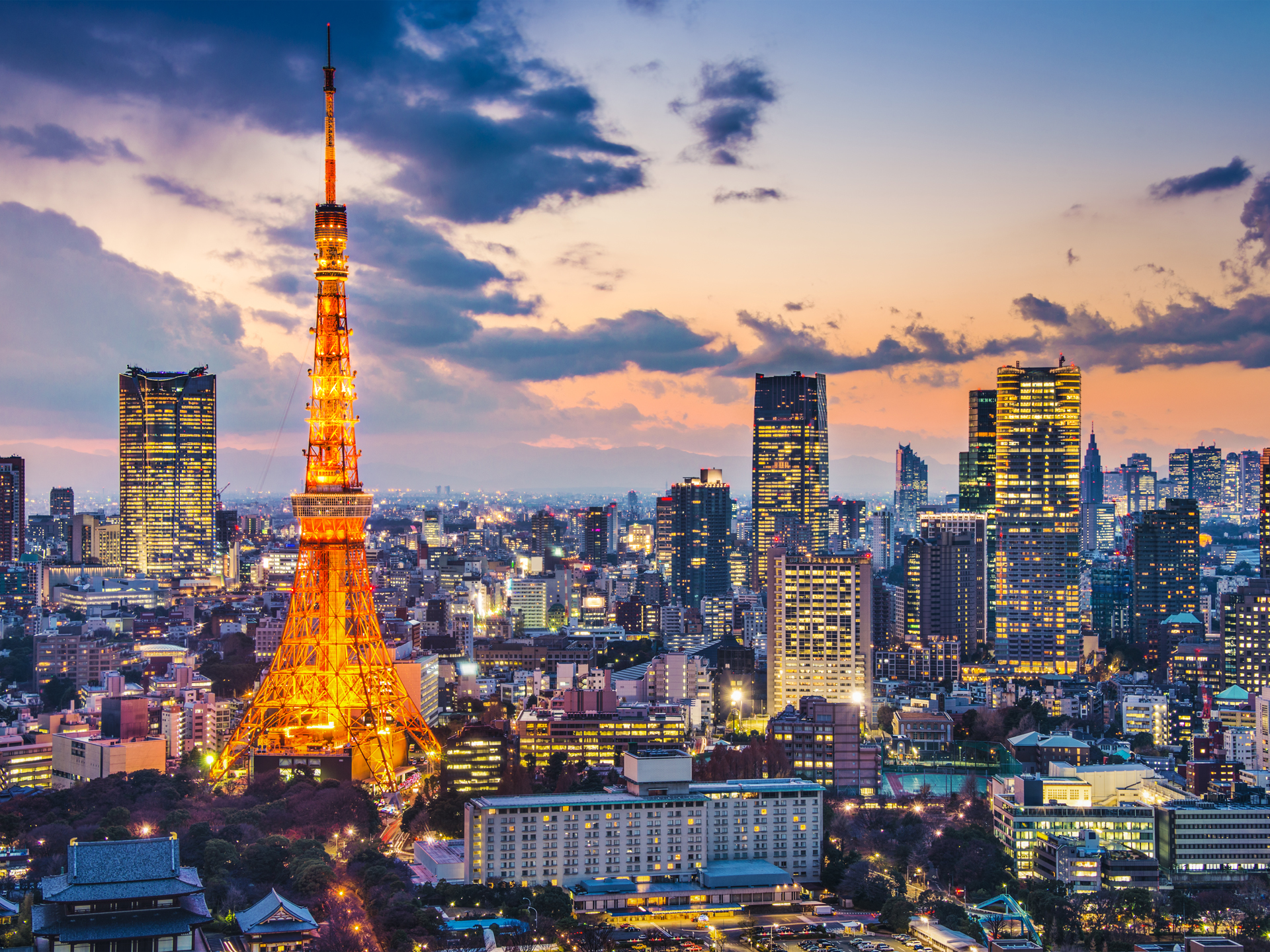 【河马出国喜讯】日本高度经营管理签证最新成功案例～2024年12月
